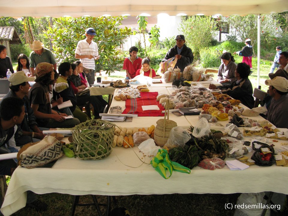 Foto: redsemillas.org
