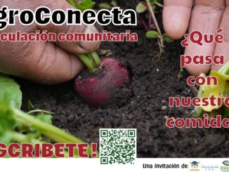 qué pasa con nuestra comida