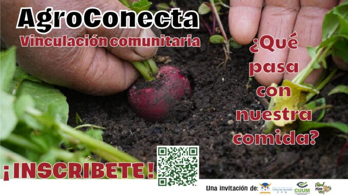 qué pasa con nuestra comida